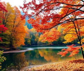 best fall foliage