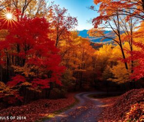 best state to visit in october