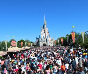 worst time to go to disney world